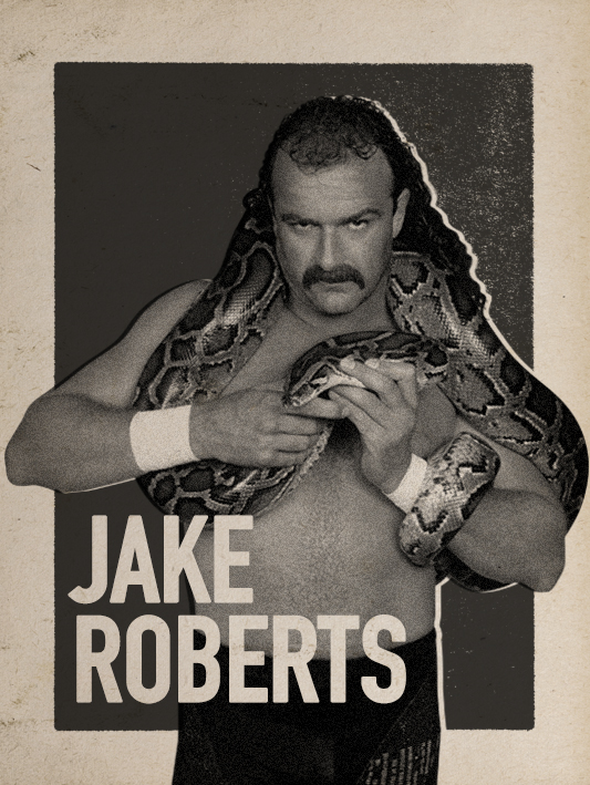 WWE 2K17_JAKE ROBERTS