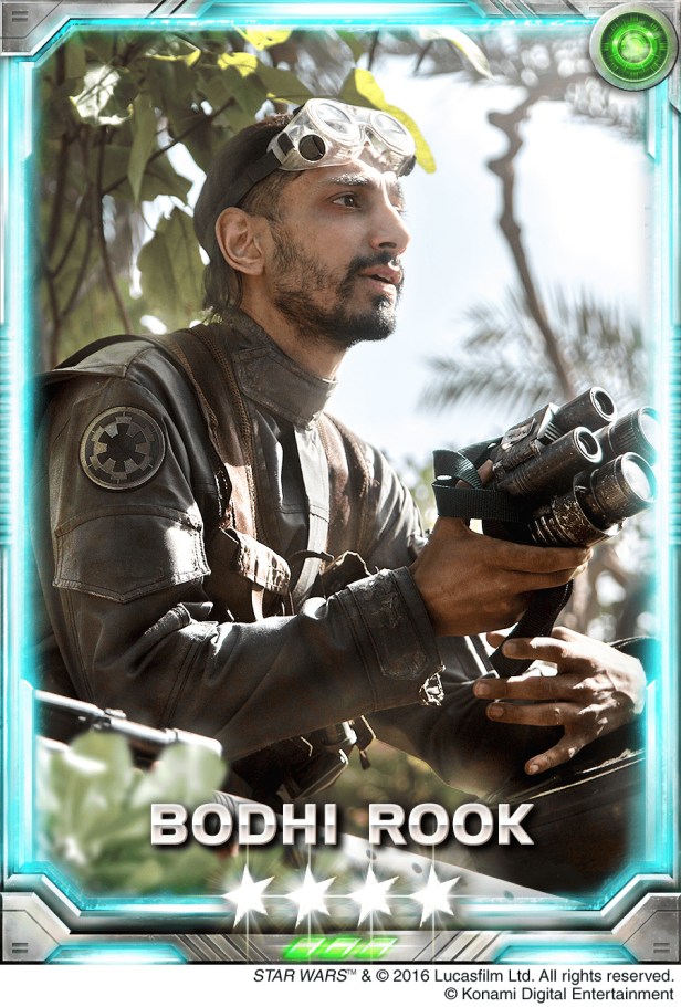 swfc_bodhi_rook_tm