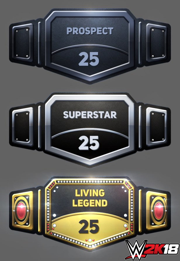 ROAD TO GLORY RANK BELTS